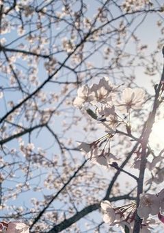 死ぬまでにしたいこと