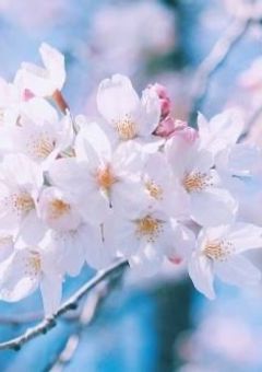 ハイキュー体調不良