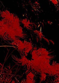 ❀ 我が各々方,機嫌は如何様？ [ 移行前 ]