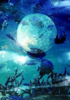 失った色を求めて