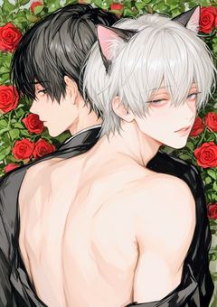 俺、美形猫耳男子に見初められたみたいです