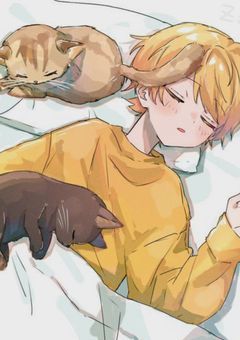 廃墟には6人の王子様が、