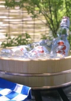 ラムネ瓶の奥底で｡