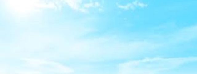 yuringo🍎さんの壁紙画像