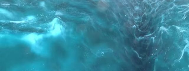 1221さんの壁紙画像