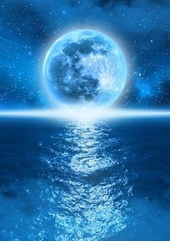 怪盗CrystalとSnow警察