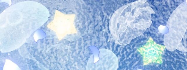 あまね@1周年さんの壁紙画像