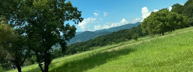 玲(れい)@超高校級のオタクさんの壁紙画像