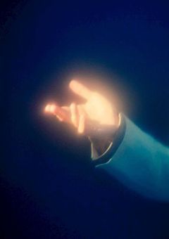 青りんごに拾われた。