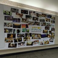 かなさんのアイコン画像