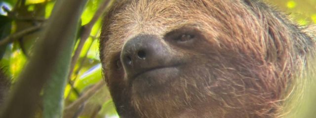 まろんさんの壁紙画像