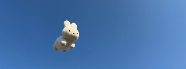 　　あかりｻﾝ ˚₊‧ ໒꒱さんの壁紙画像