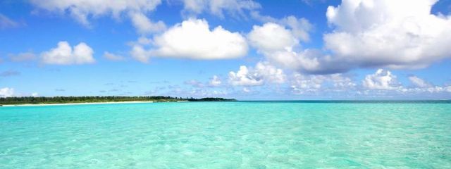 シバさんの壁紙画像