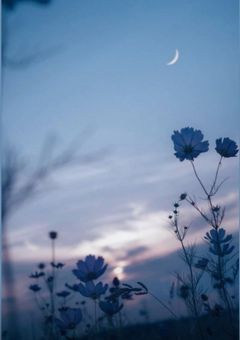 　♡　𝑭𝑶𝑹𝑬𝑽𝑬𝑹 𝑴𝑶𝑹𝑬