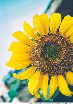 花が咲いた日、君がいた