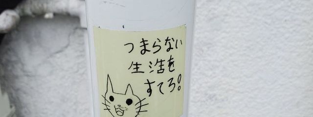 崔さんの壁紙画像