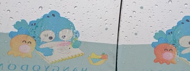 さな🪄◝✩さんの壁紙画像