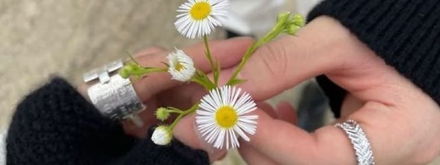 青写真さんの壁紙画像