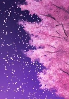名も無き観測者