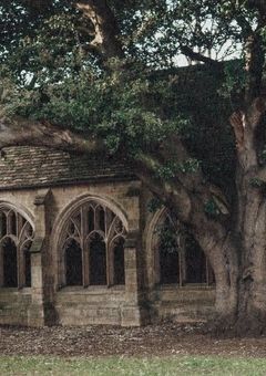 苦 手 な 貴 方 は 私 を 薆 し て