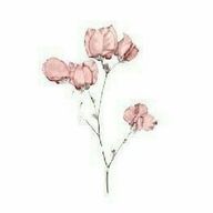 沙婲さんのアイコン画像