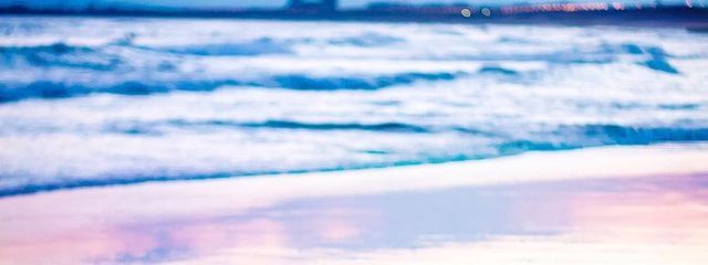 カラスの皮さんの壁紙画像