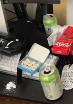 　✰ ˚*.꒰ 𝚜𝚝𝚞𝚍𝚢 ꒱.*˚