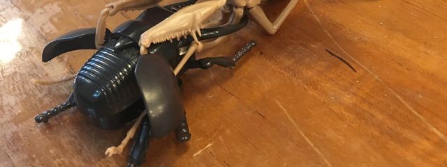 さぶだーくさんの壁紙画像