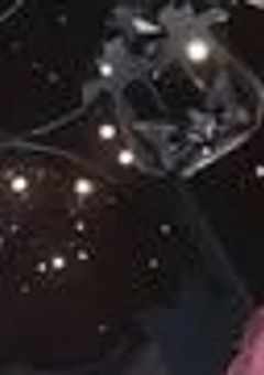 今日，好きになりました【参加型】