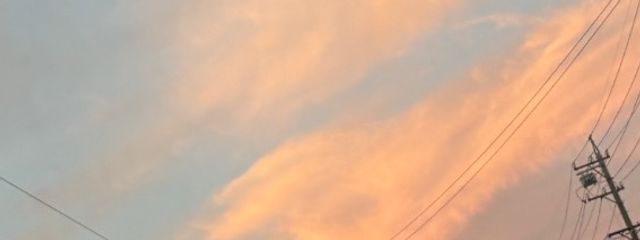 こぎつねちゃんさんの壁紙画像