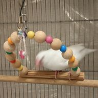 ひなさんのアイコン画像