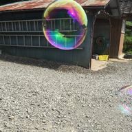ゴリラまさんのアイコン画像
