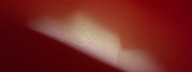 いちごさんの壁紙画像