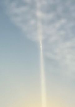 「住み込み」家政夫雇いました！　