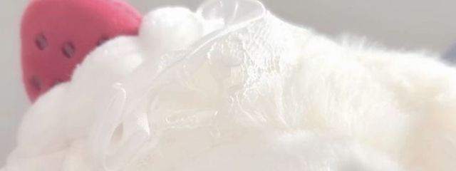 も ち さんの壁紙画像