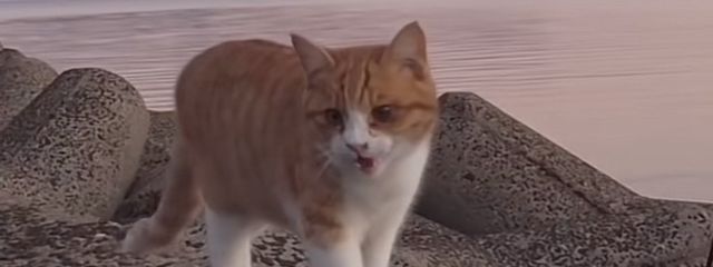 westさんの壁紙画像