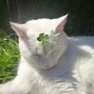 westさんのアイコン画像