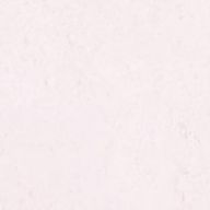 いつめんしすたーず（仮）さんのアイコン画像