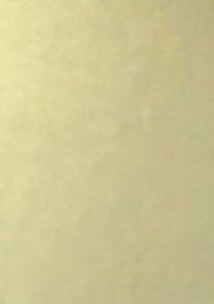 Mrs. GREEN APPLEのイラスト描く部屋!