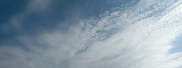 双星さんの壁紙画像