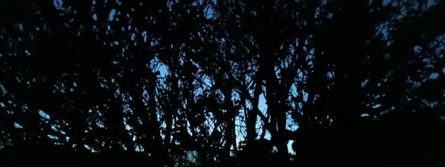 鎌田礼さんの壁紙画像