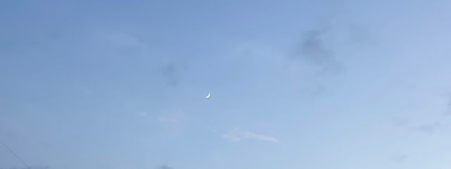 rabbitchikinさんの壁紙画像