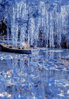  //　 𝑻𝑨𝑮　☁️🐾