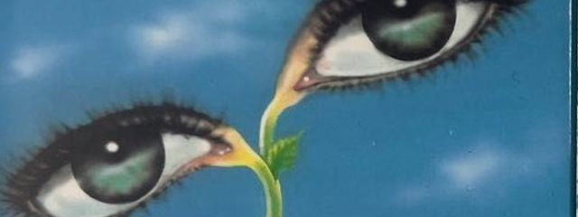 夏王朝さんの壁紙画像