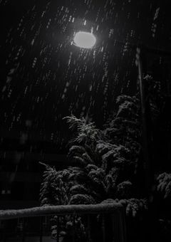 10人目の雪男
