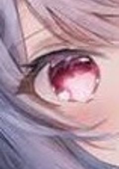 つえーの紅一点〚本編完結済〛