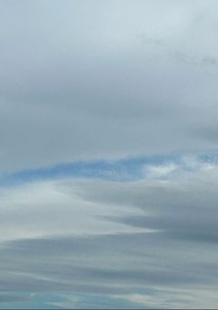 むめいの自己紹介