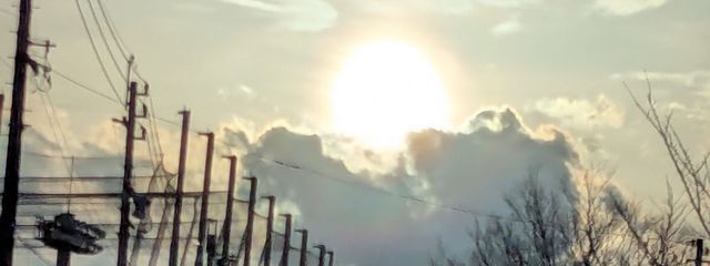 ぴろぽんさんの壁紙画像