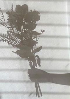 𝓽𝓪𝓰✩.*˚