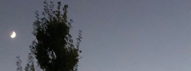 こむぎ⛅️🎈さんの壁紙画像